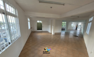 Port Louis – Commercial Building – Rental