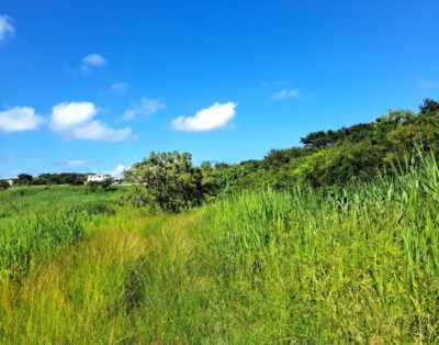 Grand Baie – Land – Sale