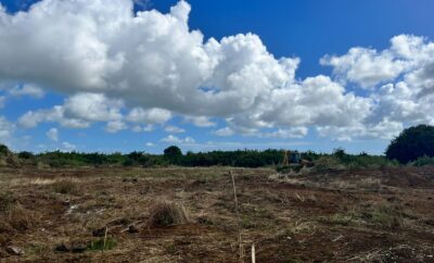 Goodlands, St Antoine – Agricultural Land – Sale