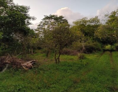 Chamarel – Agricultural Land – Sale