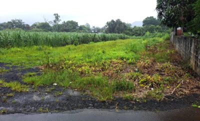 Montagne Blanche – Residential Land – Sale