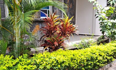 Individual house for rent at Quatre Bornes
