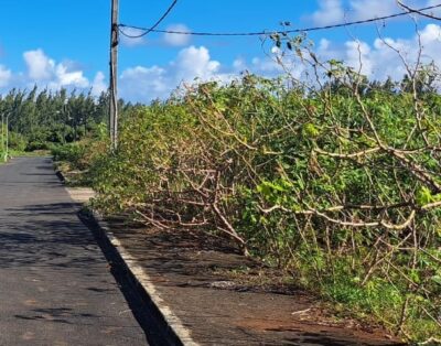 Riambel -FOR SALE – 1 Arpent of Land in Residential Zone (Agricultural Title)